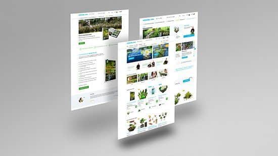 Introductie van vdvelde.com