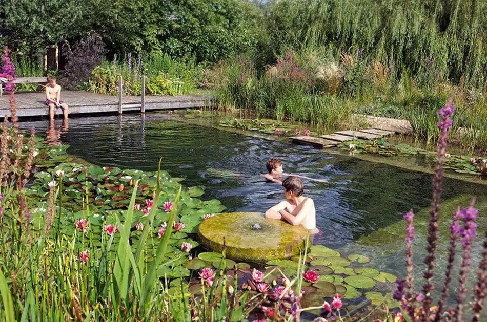 Zwemvijver aanleggen
