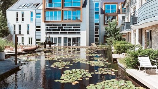 Waterlelies voor meer biodiversiteit