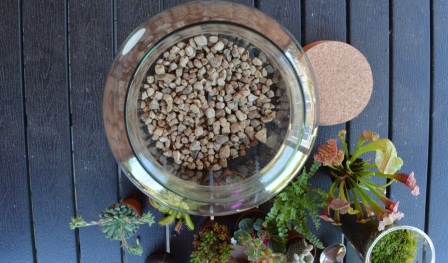Planten terrarium maken stap 2 Come realizzare un terrario per piante - Passaggio 2
