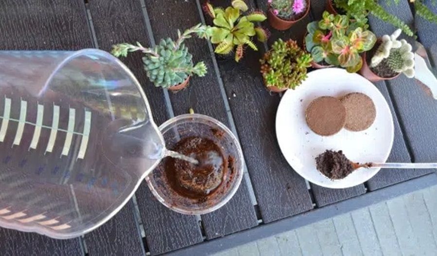 Planten terrarium maken stap 3 Come realizzare un terrario per piante - Passaggio 3
