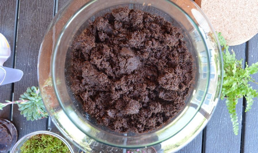Planten terrarium maken stap 4 Come realizzare un terrario per piante - Passaggio 4