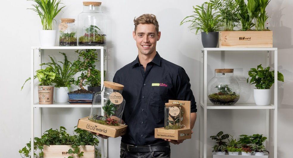 Planten terrarium roy Planten terrarium roy