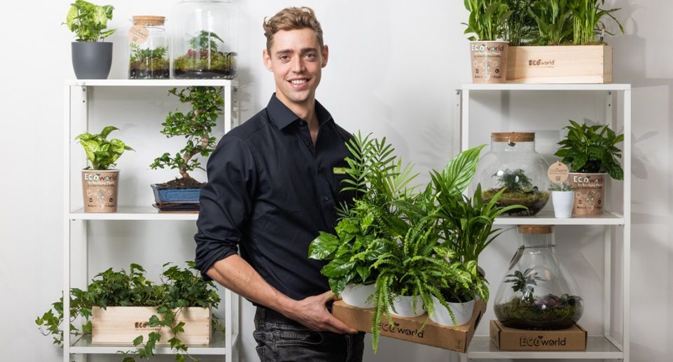 Roy planten expert Roy planten expert