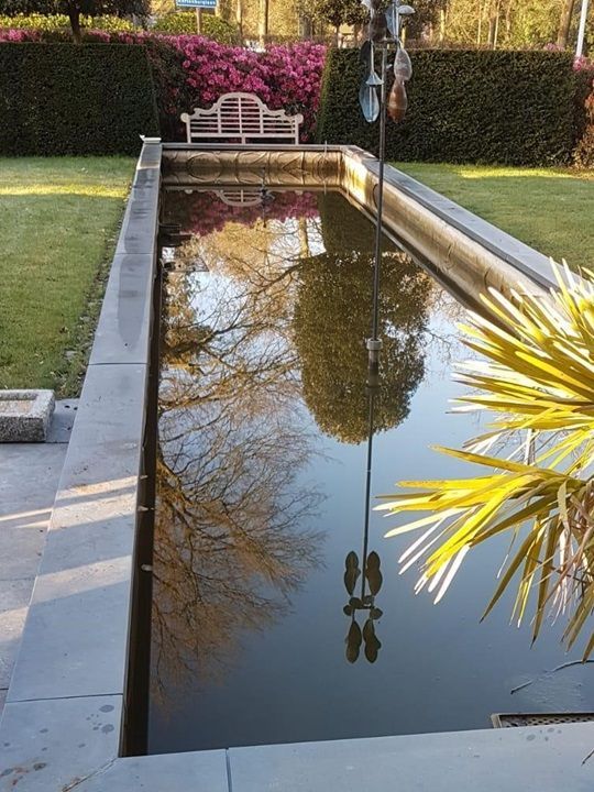 Vijver beplantingsplan 1