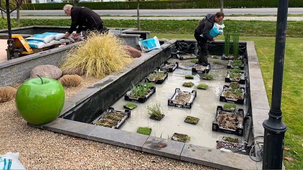 Vijver inrichten stappenplan