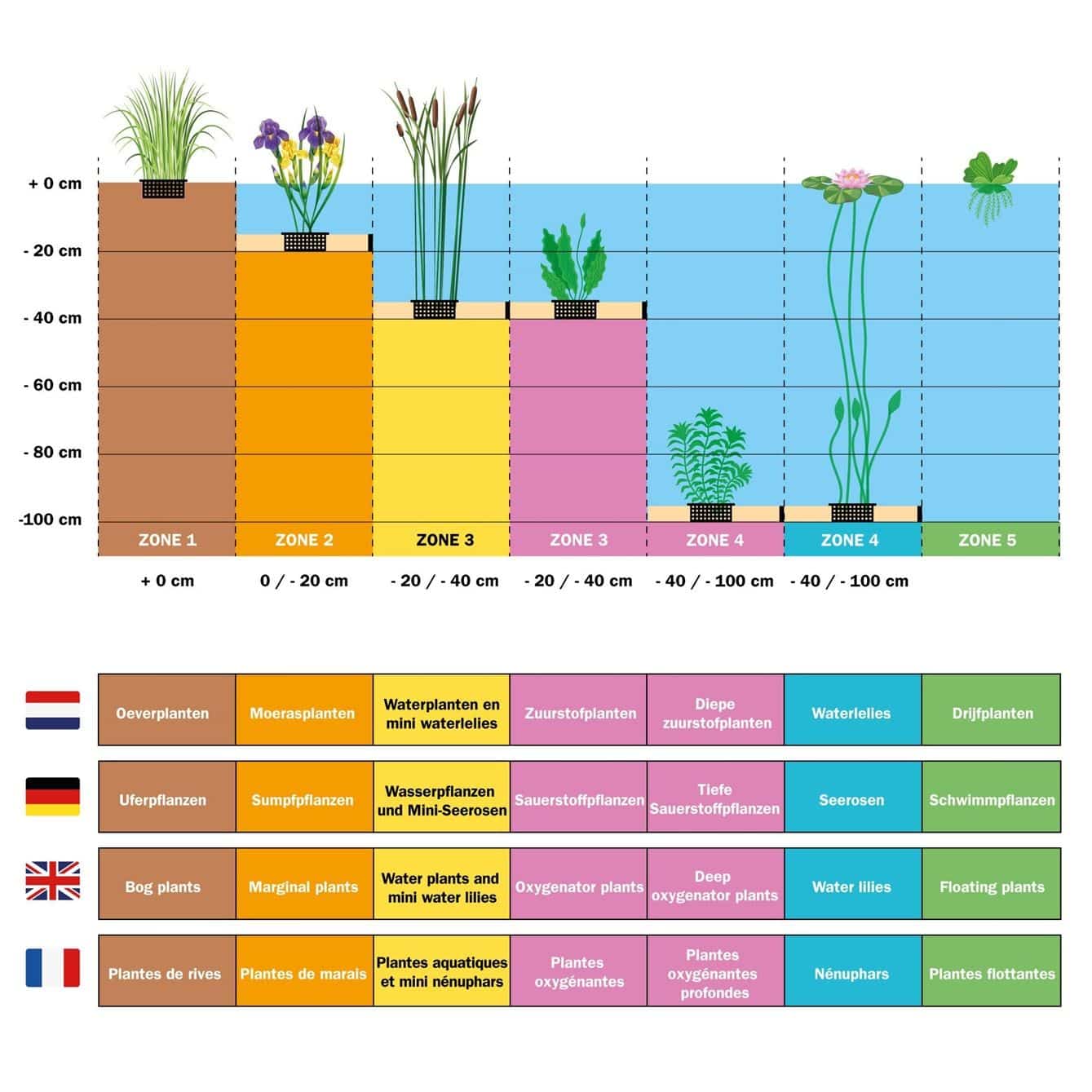 Vijverzones tekening vijverbeplantingsplan