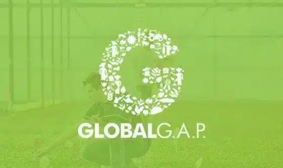 global_gap Global goals