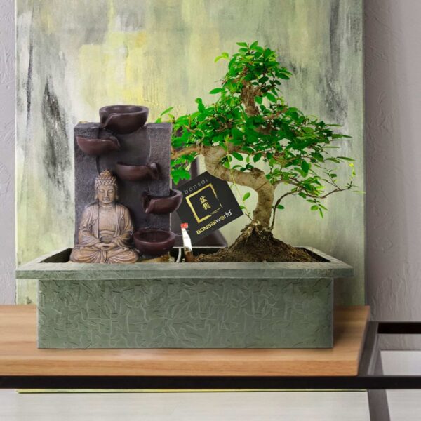 • 30 x 13 cm ↥ ca. 30 cm