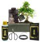 Bonsai-startersæt: Buddha-vandfald