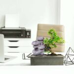 Bonsai-boom-Waterval-Set-Zen-Verzorgingskit-1