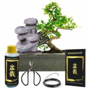 Bonsai Starter Set Zen Waterval