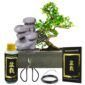 Bonsai-startersæt Zen-vandfald