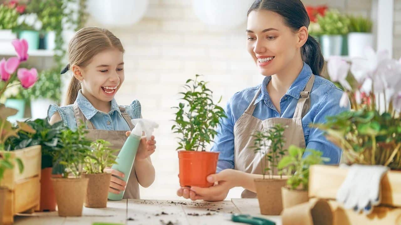 Kamerplanten besproeien Kamerplanten besproeien