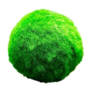 Mosballen