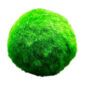 Mosballen