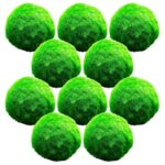 Mosballen 10 planten