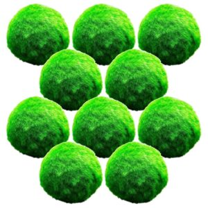 Mosballen 10 planten
