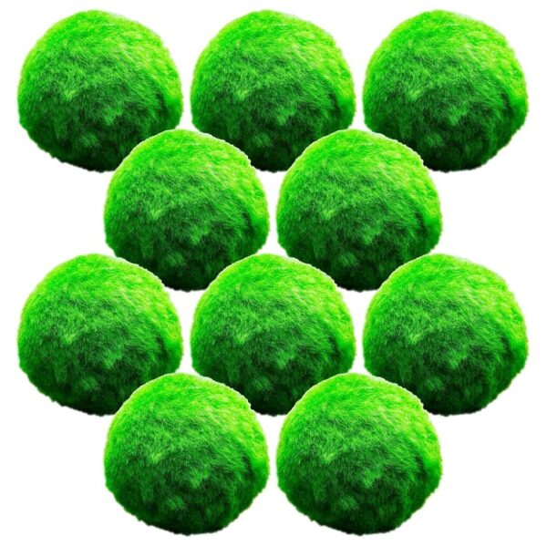 Mosballen 10 planten Mosballen 10 planten