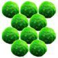 Mosballen 10 planten