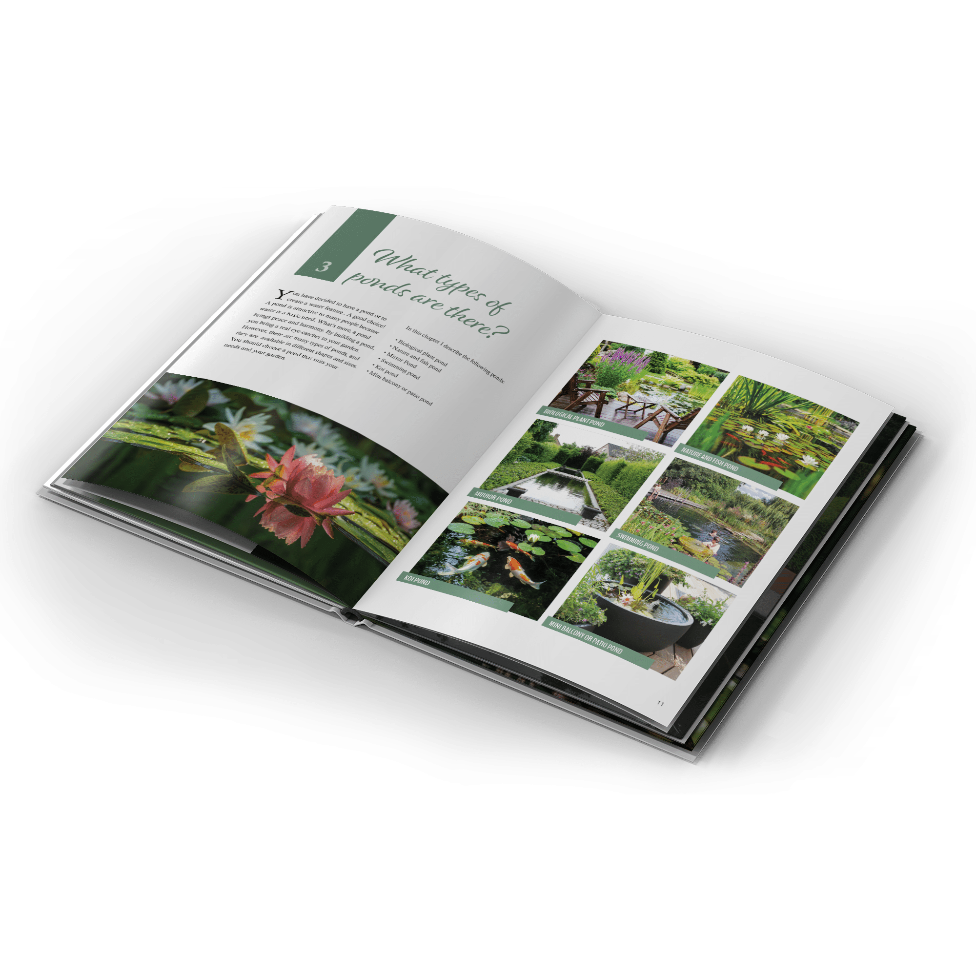 • Compleet vijverhandboek