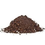 Swampworld - Plante carnivore - Terreau - 5 litres - 2