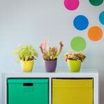 Kødædende planter – Startpakke – 3 stk. – 1