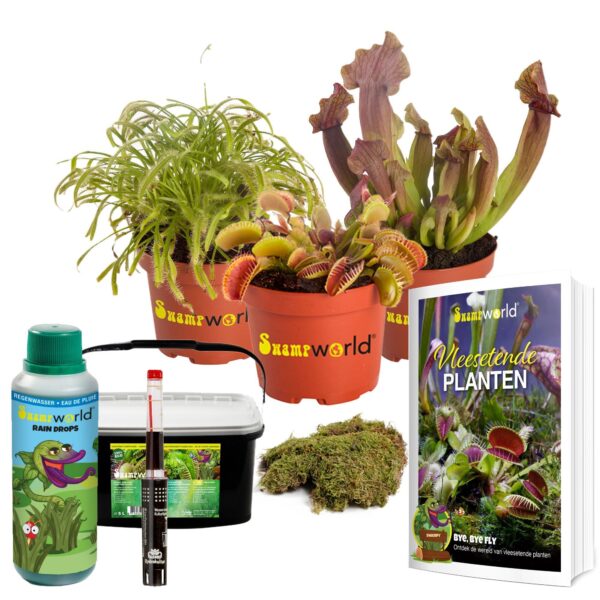 Terrarium Planten Set 3 Vleesetende planten