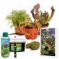 Terrarium Planten Set 3 Vleesetende planten