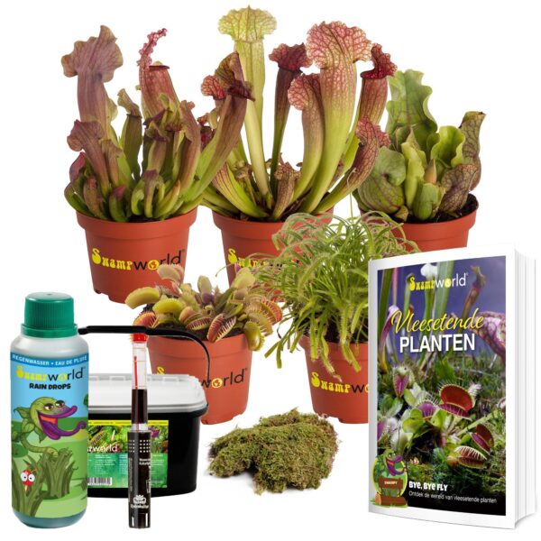 Terrarium Planten Set 5 Vleesetende planten Terrarium Planten Set 5 Vleesetende planten