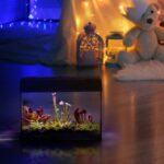 Carnivorous Plants Terrarium XL -3