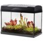 Carnivorous Plant Terrarium