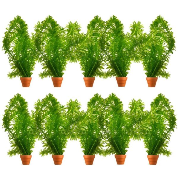 Waterpest 10 planten Waterpest 10 planten