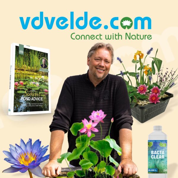 Gravier de couverture et Plantes de bassin - Van der Velde Plantes aquatiques