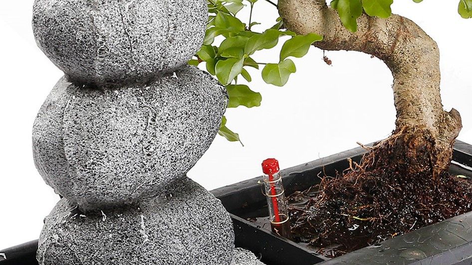 Bonsai boom watermeter Bonsai boom watermeter