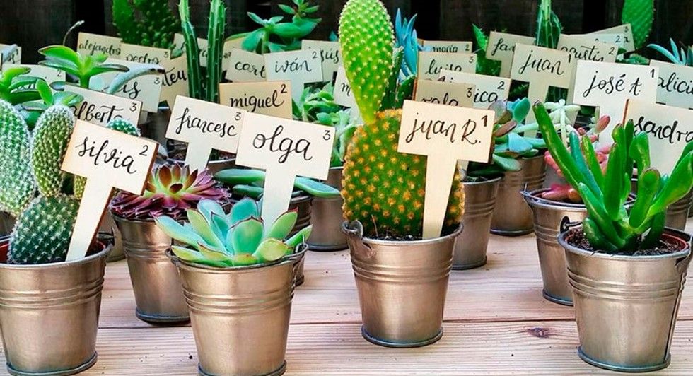 Mini plantjes gepersonaliseerd Piantine personalizzate