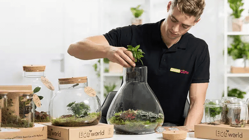 Plant terrarium maken Plant terrarium maken