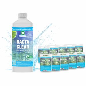 POND BLOCK 10 stuks + Bacteriƫn