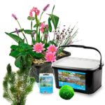 Compleet Vijverpakket Roze 25-90L