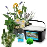 Compleet Vijverpakket Wit 25-90L