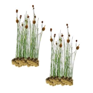 Dwerglisdodde 30 planten