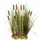 Kleine-Lisdodde-2000-stuks-Typha-Angustifolia-1