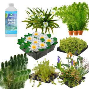 Pacote para afugentar garƧas 10 000-15 000 L