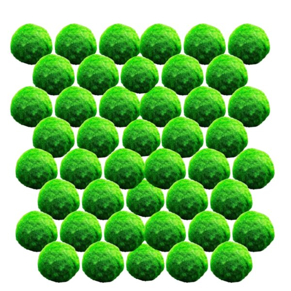 Mosballen 50 planten Mosballen 50 planten