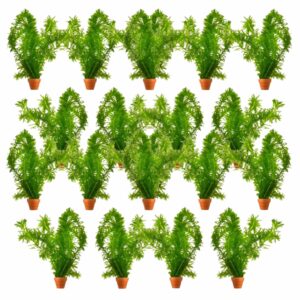 Waterpest 50 planten