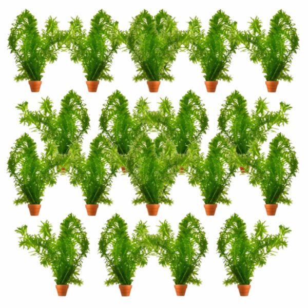 Waterpest 50 planten Waterpest 50 planten