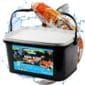 AQUA BITES Visvoer 5L