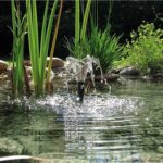 Oase-Aquarius-Fountain-set-Classic-1000-1