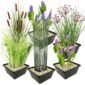 Set 6 Waterplanten