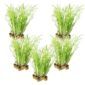 Kalmoes 100 planten